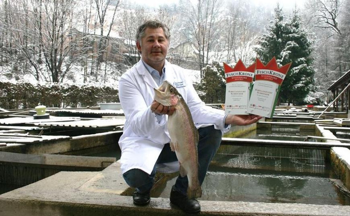 , Copyright: Schru00f6cker sparmarktat--article-1288-0.jpeg