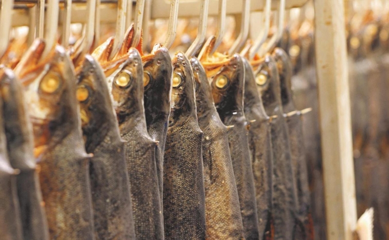 , Copyright: Kulmer Forelle