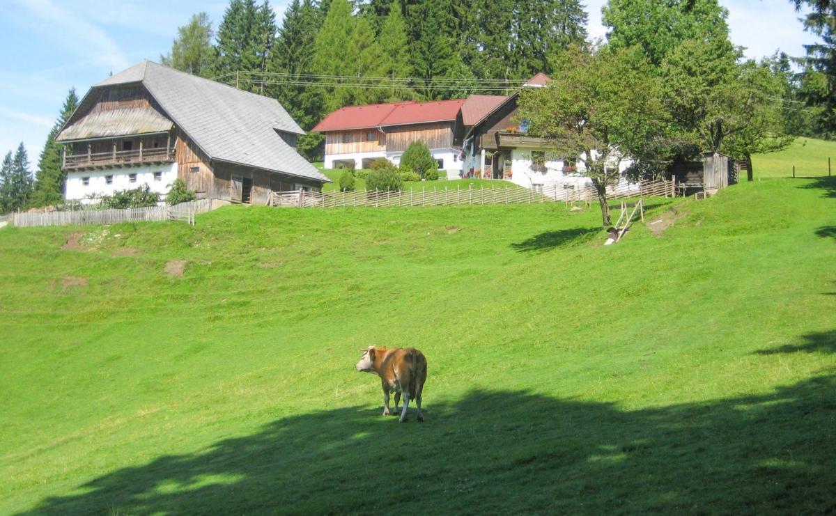 , Copyright: Almenlandkru00e4uter Almenlandkru00e4uter