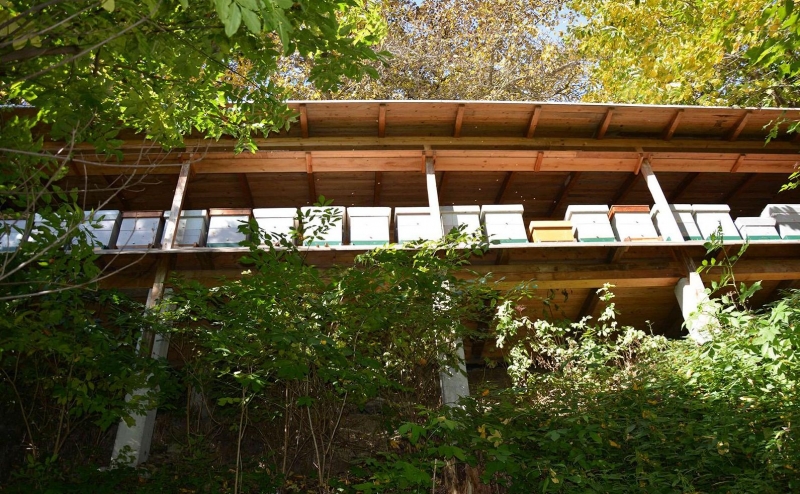 , Copyright: Almer Bienenstu00f6cke