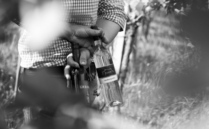 , Copyright: Posch Imagebild Wein