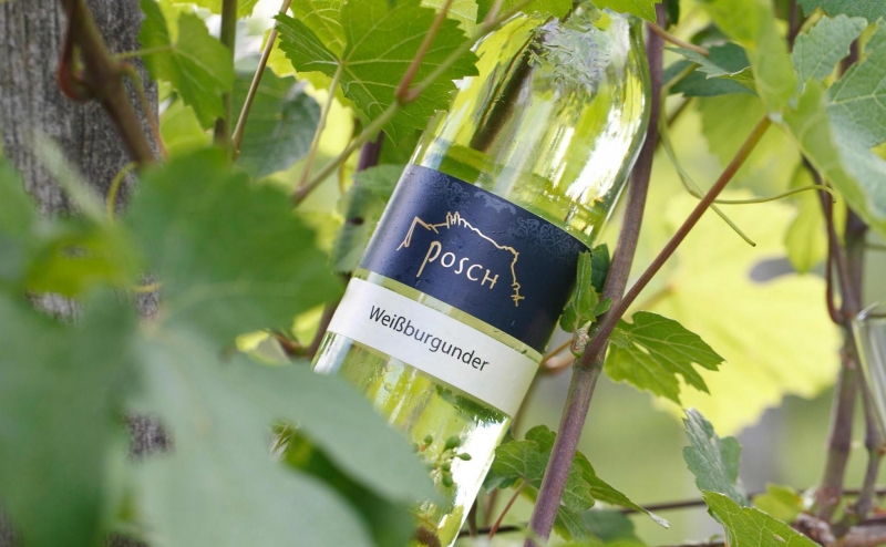 , Copyright: Posch Weinflasche Weissburgunder