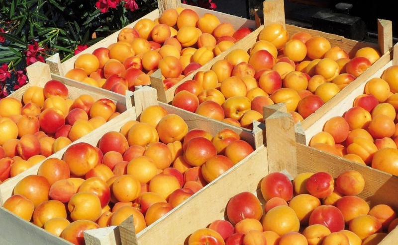 , Copyright: Heidenbauer Marillen