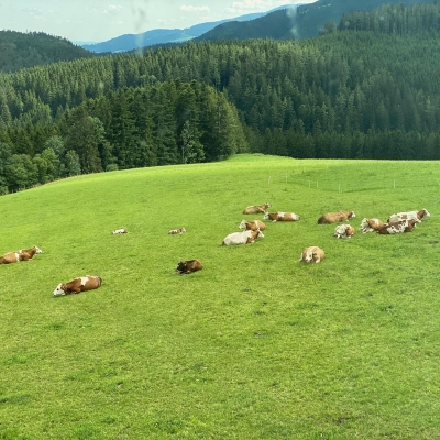 Froihof - Bauernhof in Fischbach