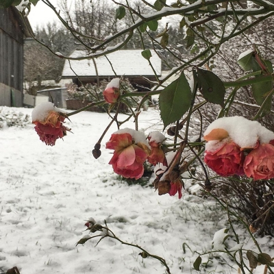 Bioprodukte aus Fischbach