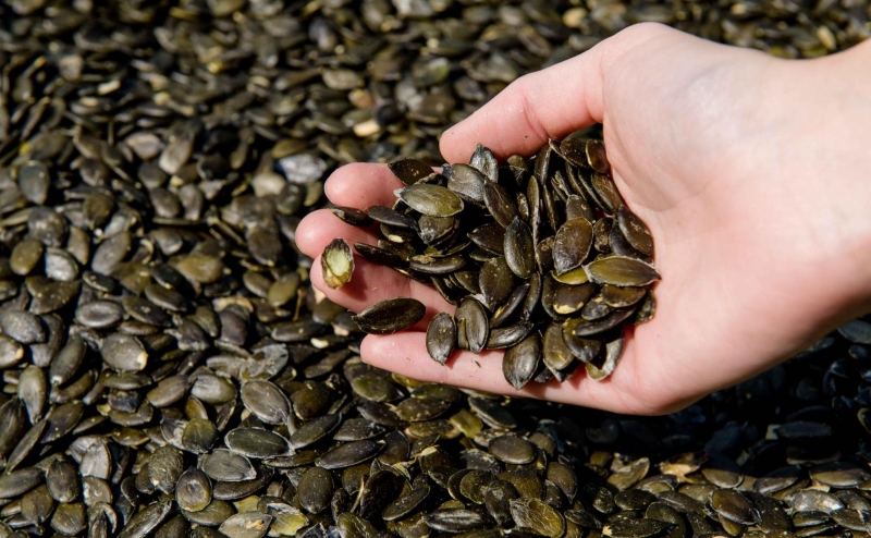 Ku00fcrbiskerne - u00d6lmu00fchle Birnstingl