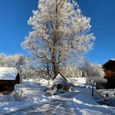 Winter am Froihof in Fischbach